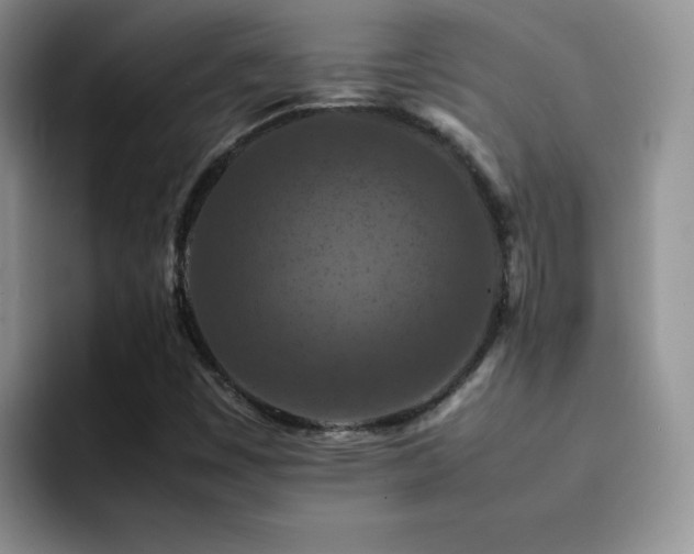 X0000092221449200709141035