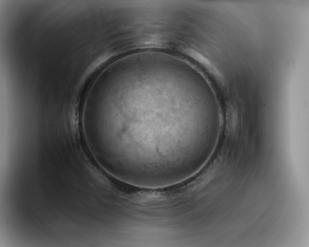 X0000092221450200709141035