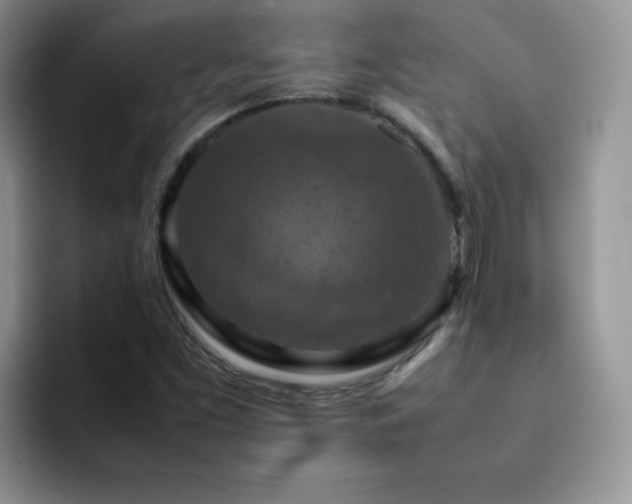 X0000092221453200709141035