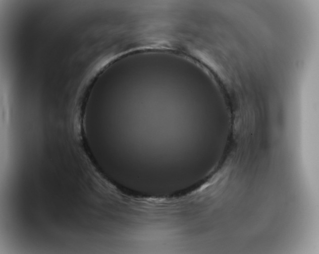 X0000092221455200709141035