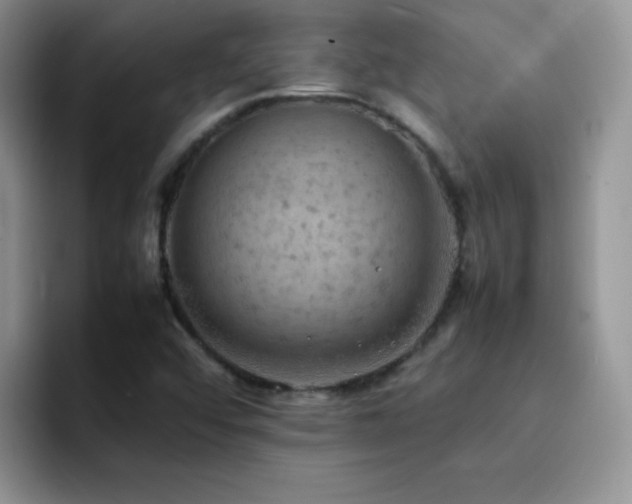 X0000092221456200709141035