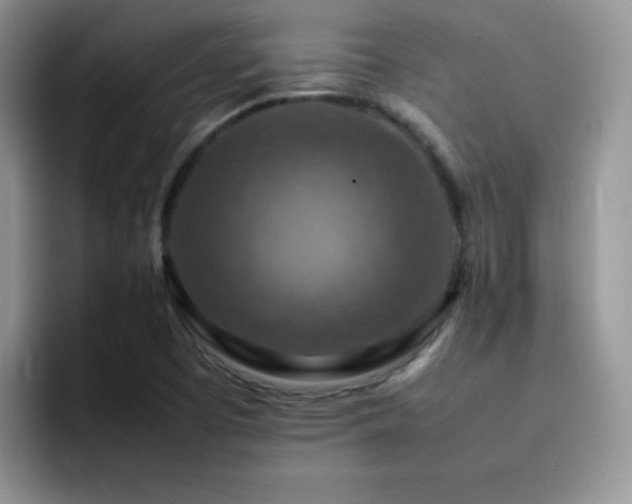 X0000092221457200709141035