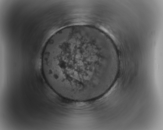 X0000092221459200709141035
