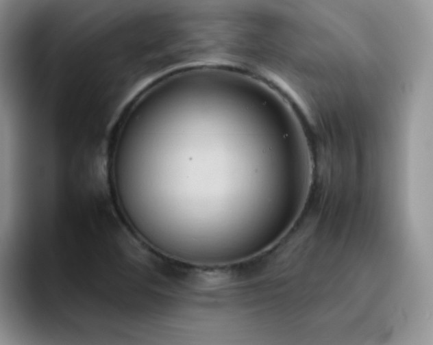 X0000092221460200709141035