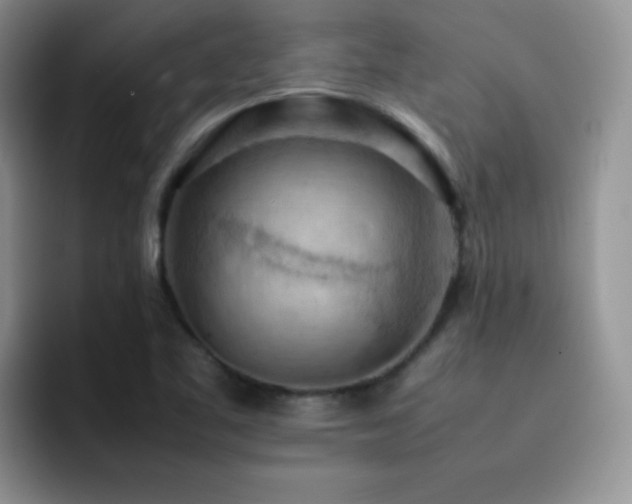 X0000092221461200709141035