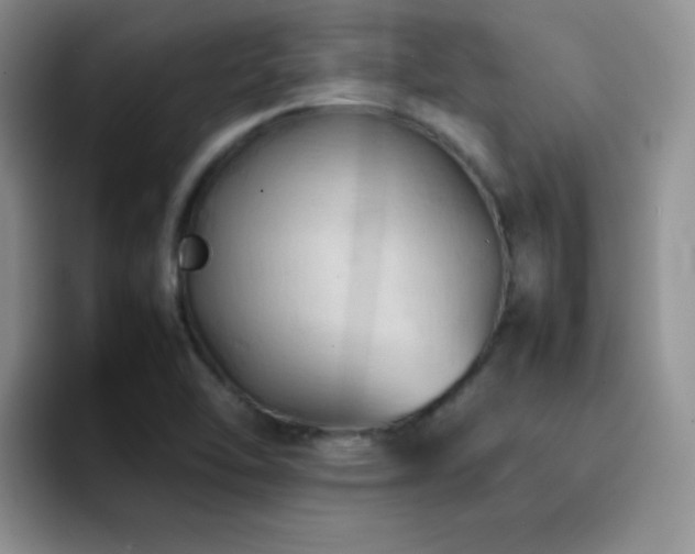 X0000092221462200709141035