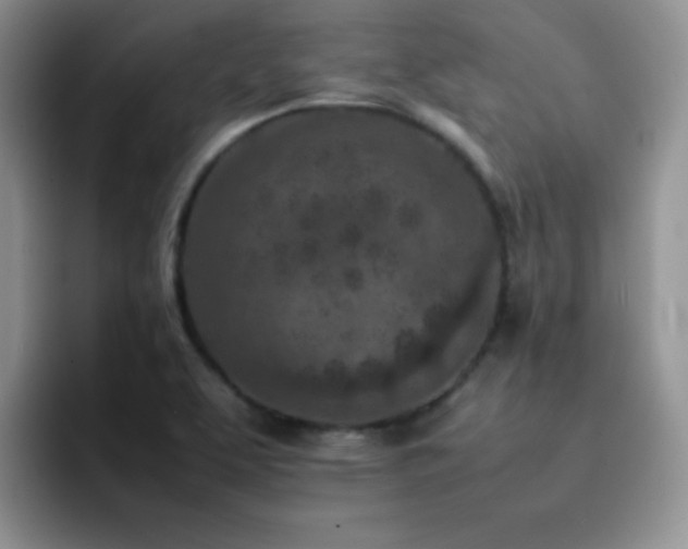 X0000092221463200709141035