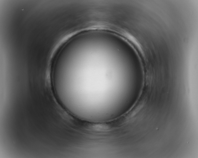 X0000092221464200709141035