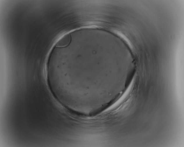 X0000092221467200709141035