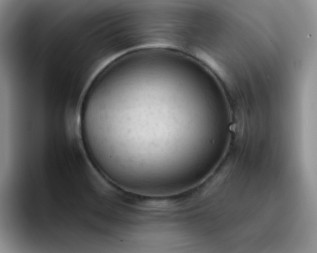 X0000092221468200709141035