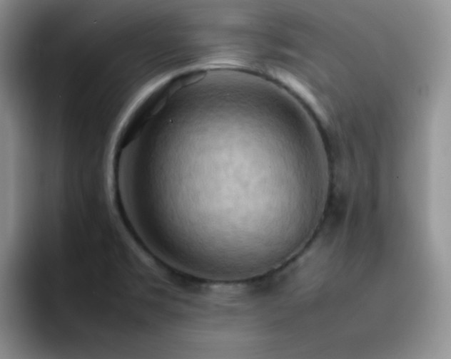 X0000092221469200709141035