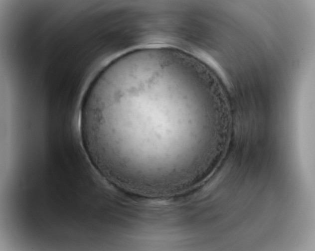 X0000092221472200709141035