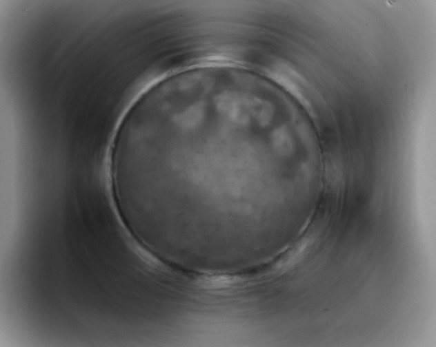 X0000092221474200709141035