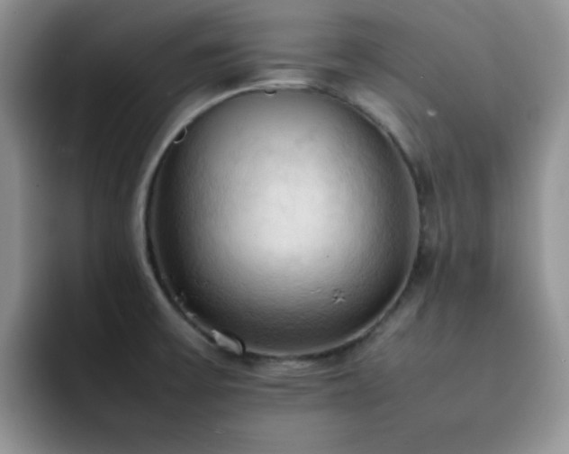 X0000092221475200709141035