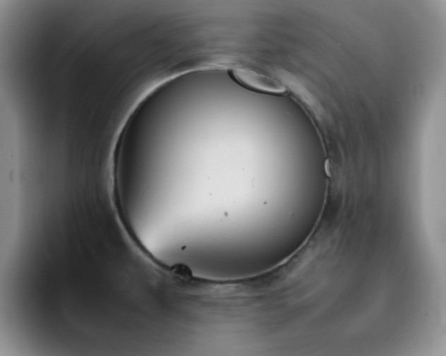 X0000092221479200709141035