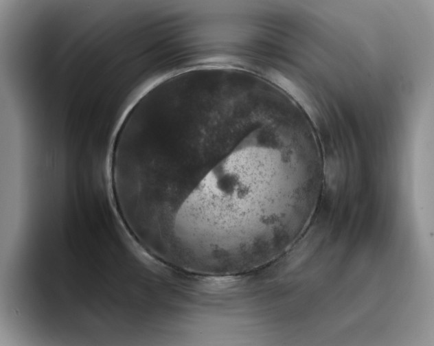 X0000092221482200709141035