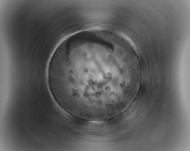 X0000092221483200709141035