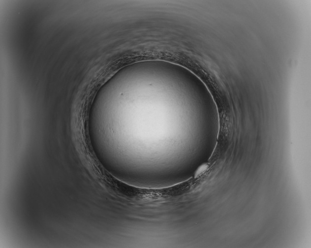 X0000092221489200709141034