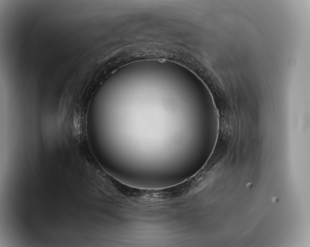 X0000092221490200709141034