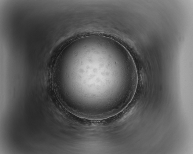 X0000092221494200709141035