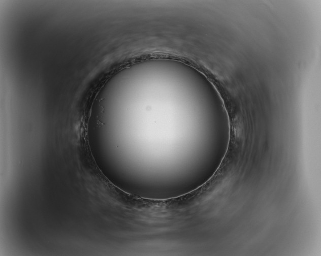 X0000092221495200709141035