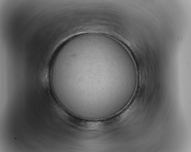 X0000092221498200709141035