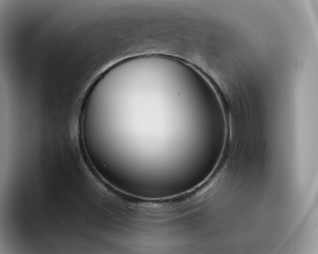 X0000092221500200709141035