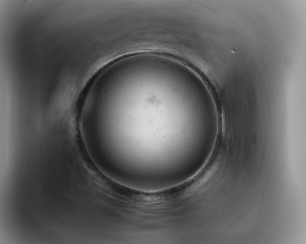 X0000092221501200709141035