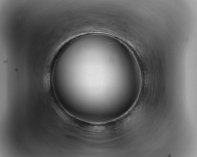 X0000092221503200709141035