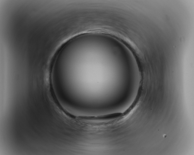 X0000092221506200709141035