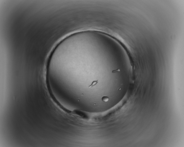 X0000092221508200709141035
