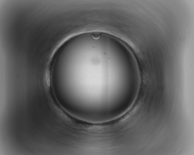 X0000092221510200709141035