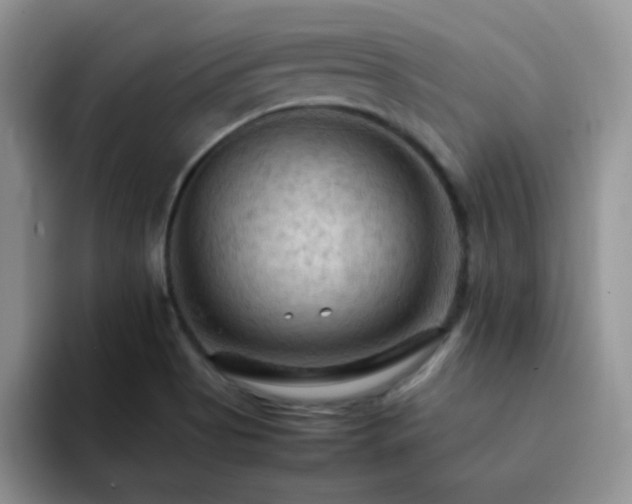 X0000092221513200709141035