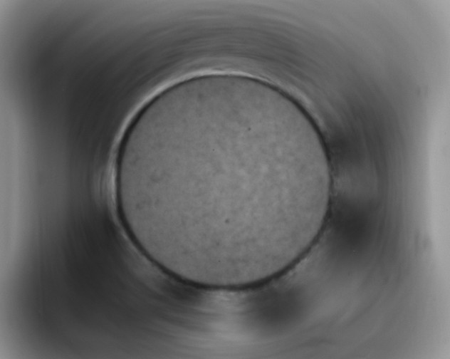 X0000092221514200709141035