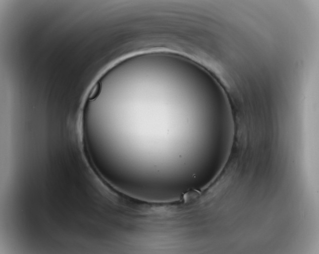X0000092221516200709141035