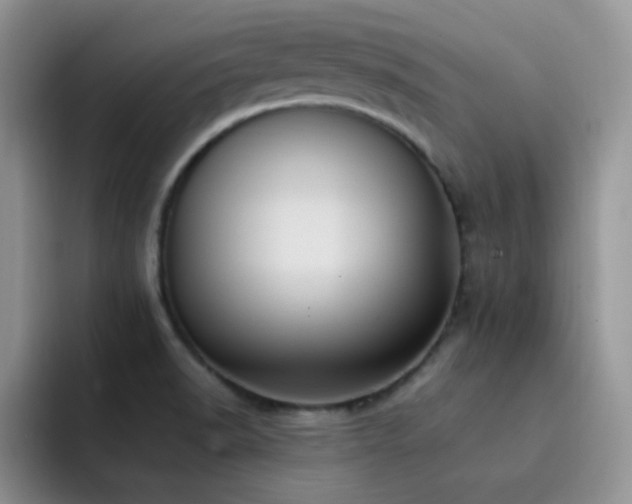 X0000092221518200709141035