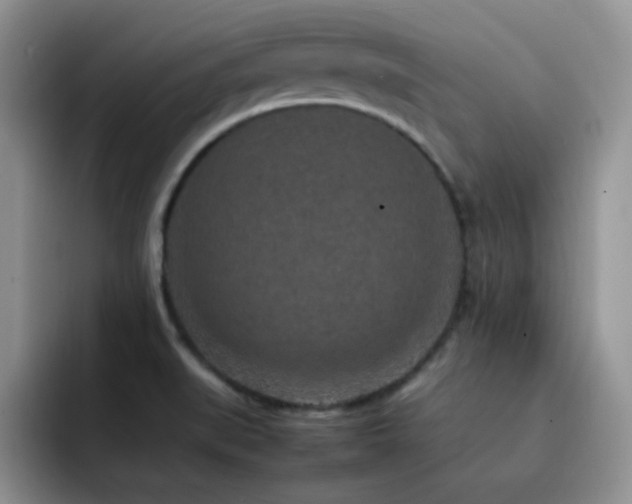 X0000092221519200709141035