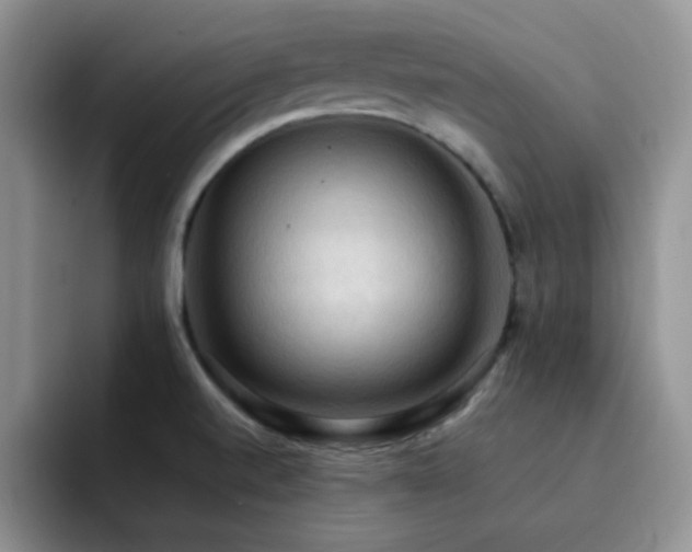 X0000092221520200709141035