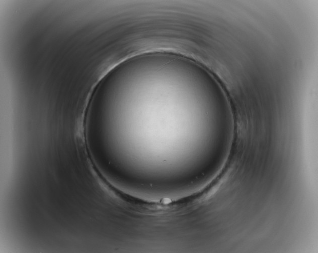 X0000092221521200709141035