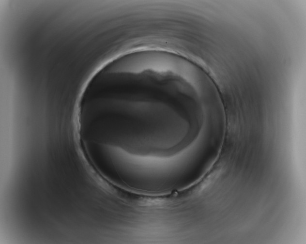 X0000092221522200709141035