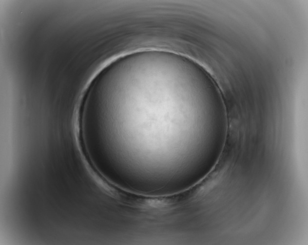 X0000092221523200709141035