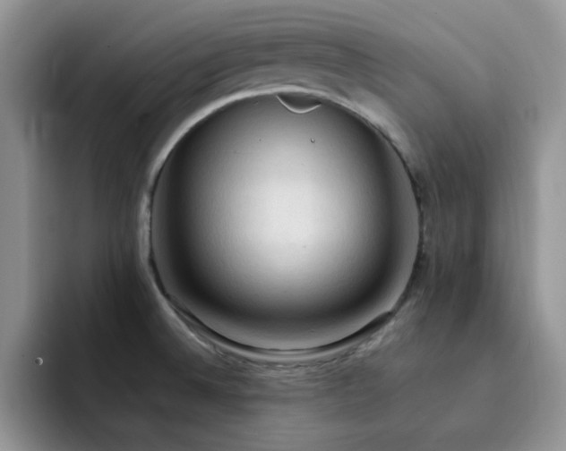 X0000092221524200709141035