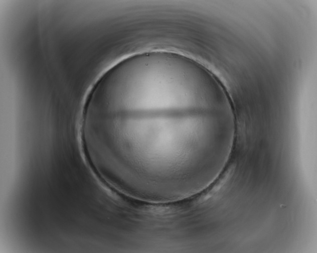 X0000092221525200709141035