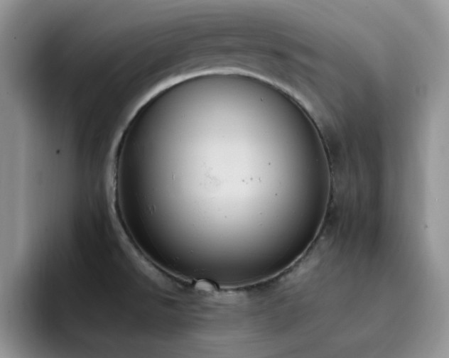 X0000092221526200709141035