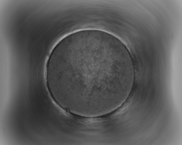 X0000092221527200709141035