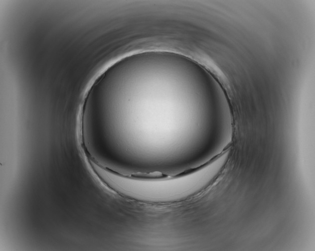 X0000092221528200709141035