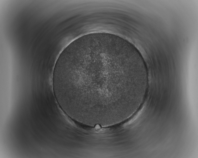 X0000092221529200709141035