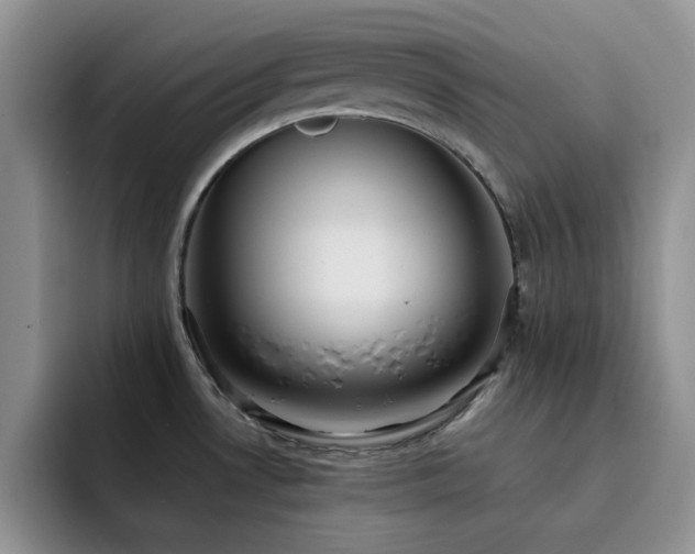 X0000092221530200709141035