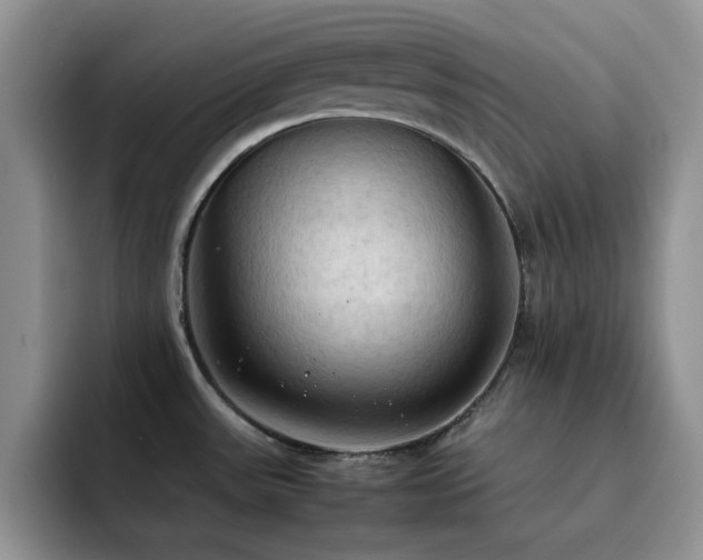 X0000092221531200709141035