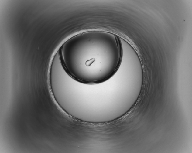 X0000092221536200709141035